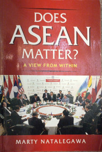 Does Asean Matter A View From Within